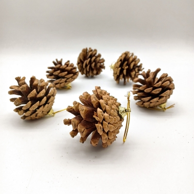 πακετο s/6 κουκουναρια με κορδονακι 6cm φυσικα