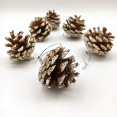 ������ s/6 ����������� �� ��������� 6cm ������/����������