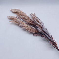 ������� ����� barley 80cm natural ����������