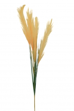 TEXNHTO BUSH PAMPAS 88CM SAND GREY