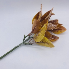 ������� ����� liguster 22cm autumn ����������