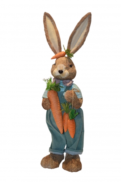 GRASS RABBIT ΜΕ ΚΑΡΟΤΑ 80cm BOY