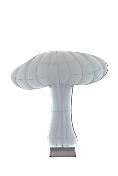 ΦΩΤΙΖΟΜΕΝΟ ΜΑΝΙΤΑΡΙ BACKGROUND 166*140CM WARM WHITE