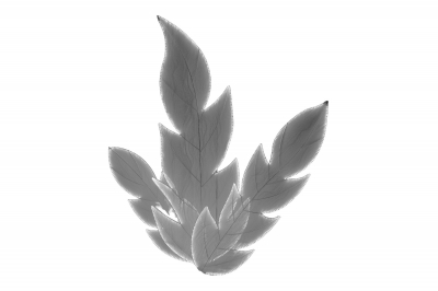 S/2 ΦΩΤΙΖΟΜΕΝΑ ΦΥΛΛΑ ΣΦΕΝΔΑΜΟΥ 200*260CM WARM WHITE