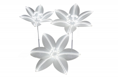 SET/3 ΦΩΤΙΖΟΜΕΝΑ LILIES WHITE