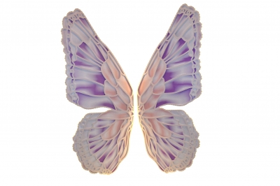 ΦΩΤΙΖΟΜΕΝΗ ΠΕΤΑΛΟΥΔΑ GIANT GLOWING BUTTERFLY 240CM WARM WHITE