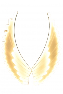 SET/2 ���������� ����� ������� 70*199CM WHITE