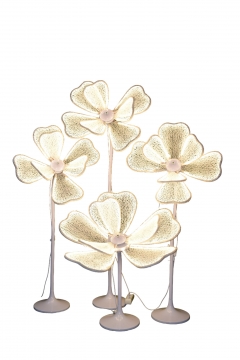 SET/4 ����������� ���������� WARM WHITE