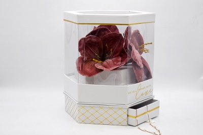 FLOWER BOX ΠΟΛΥΓΩΝΟ ΜΕ ΣΥΡΤΑΡΙ 26.5x26.5x30cm PVC/WHITE