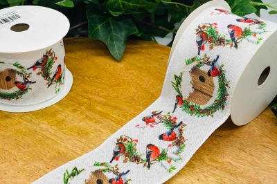 κορδελα χρ. robin 6.4*10 yards white/red/green