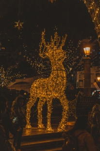 Giant ����������