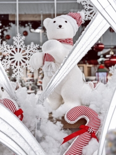 ������ ��� ��������