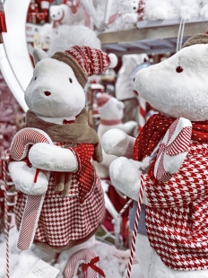 ������ ������ ��� ��������