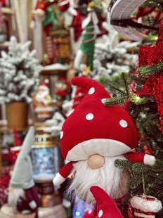 ����� ��� ������