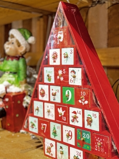 ������ ������������