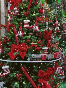 �������