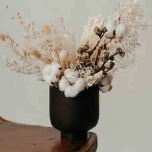 ����� ��� �������