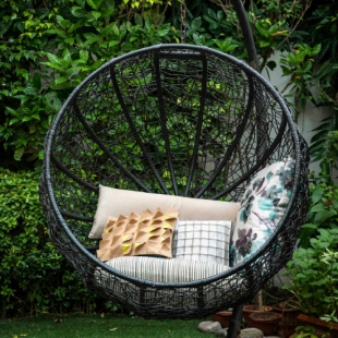 ������ �����