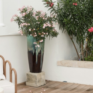 ���� �������