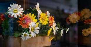 ������� ���������