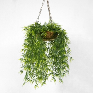 HANGING GREEN BUSHES