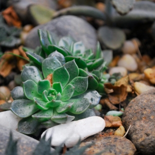 �������� ������