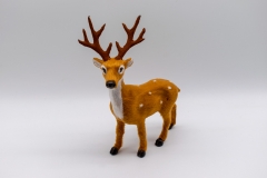 ����� �� ����� 20cm ����/�����