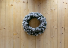 ��.������� sugar pine ���������� d.60cm 280tips