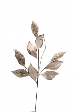 ����� �� ����� velvet/beads 24cm champagne