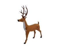 ����� �� ����� 75cm ����/�����