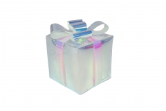 ���������� ���� 12*14cm 15 led iri/transparent warm white usb