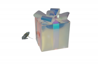 φωτιζομενο δωρο 16*18cm 20led iri/transparent warm white usb