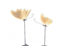 SET/2 MINI ����������� ���������� 37/49*160CM WARM WHITE