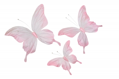 S/3 ΠΕΤΑΛΟΥΔΕΣ PAINTED 50/70/90CM PINK